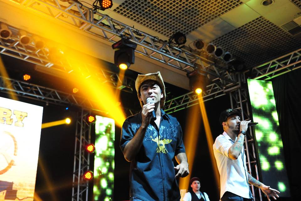 Imagem principal da galeria